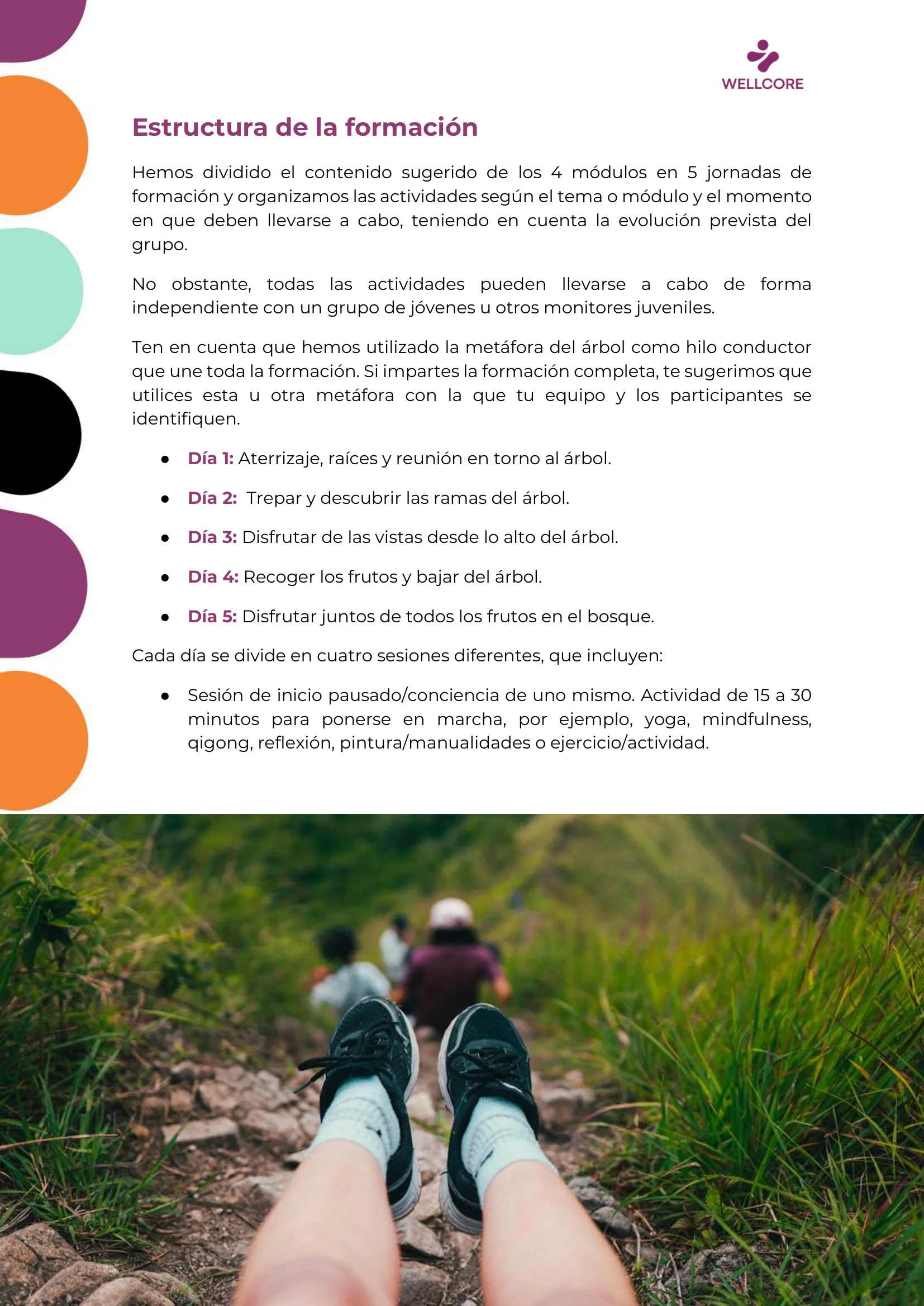 Programa de formación, page 8 of 62